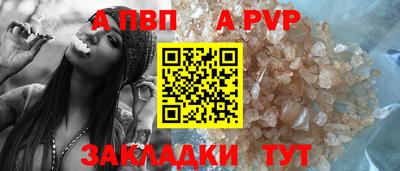 спайс Малгобек