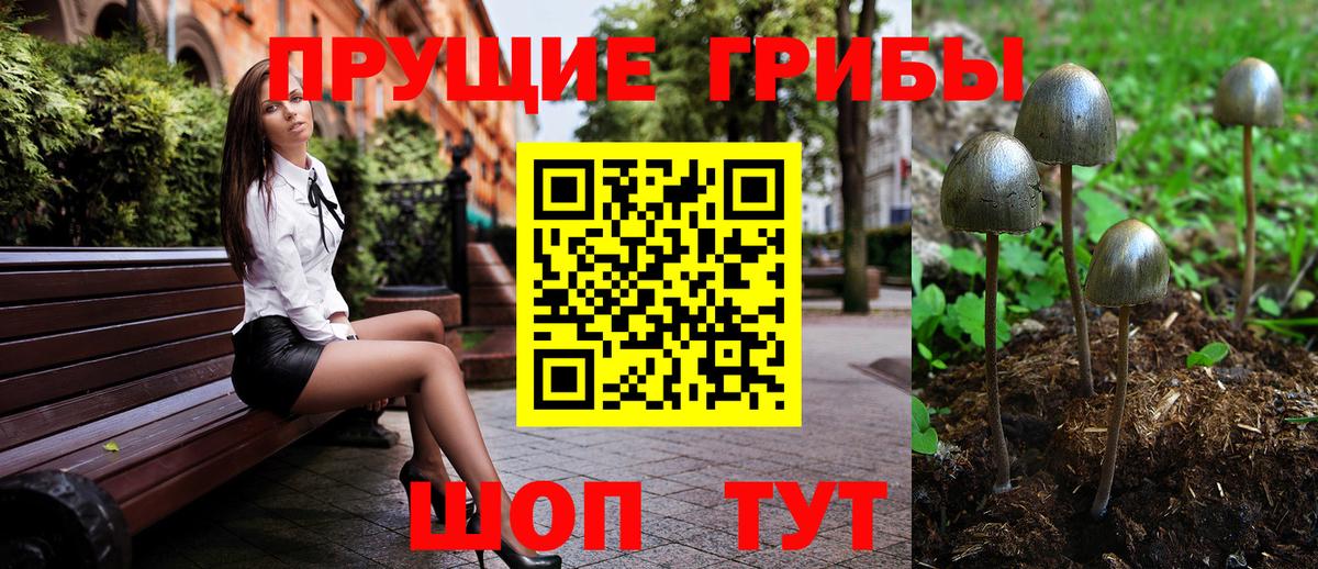 Фролово  Псилоцибиновые грибы мицелий  Вход с VPN  закладки  Галлюциногенные грибы мицелий 